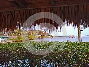 Looking out over the water from a tiki hut
