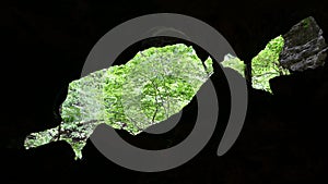 Looking out of silhouetted cave entrance into lush green forest