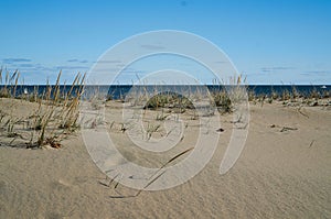 Looking Out to the Ocean Past the Beach Grass