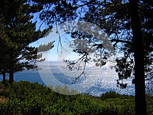 Looking out to sea photo