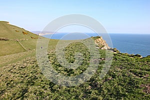 Looking out to sea near Seatown in Dorset, situated on the coastal path on the Jurassic coast between Charmouth and West Bay photo