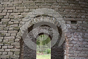 Looking outside from the inside of a ruin in the forest