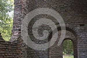 Looking outside from the inside of a ruin in the forest