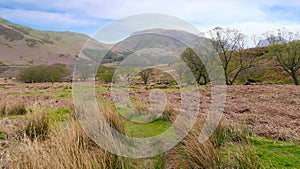 Looking over fields to Buttermere way, Lake District