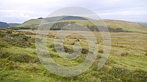 Looking over fields to distant fells, Lake District