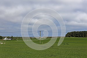 Looking over the Fields of Wheat towards the River North Esk Estuary