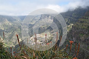 Looking over the flowered edge