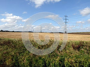 Looking over hedge to pylons