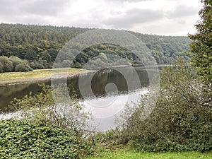 Looking over, Lindley Wood Reservoir, with trees and mist in, Lindley, Otley, UK photo