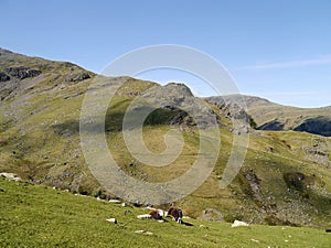 Looking over to Thornythwaite Fell, Borrowdale Fells