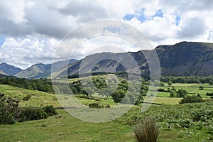 Looking over verdant fields to Whin Rigg, Lake District