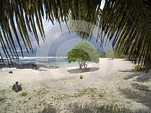 Looking through palm fronds at beach in Lefaga, Matautu, with st photo