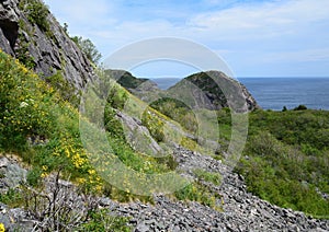 looking past the lush green hills towards the Atlantic ocean