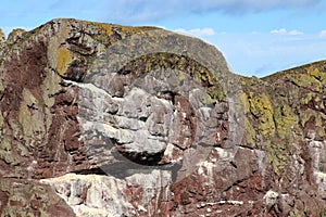 Nesting sites on cliffs at St Abb`s Head Scotland photo