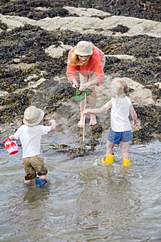 Looking in Rock Pools