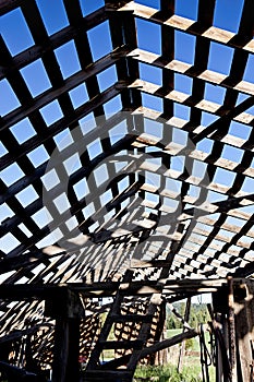 Looking through the roof beams.