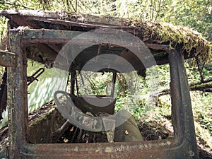 Looking in Rusty Moss Covered Truck Window Abandoned in the Forest