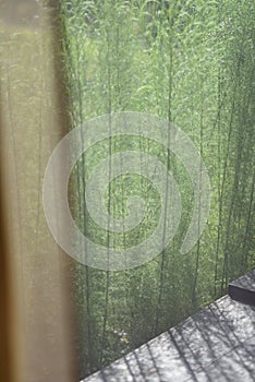 Looking through a see-through curtain in a modern resort