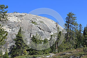 Looking at Sentinel Dome, Yosemite 