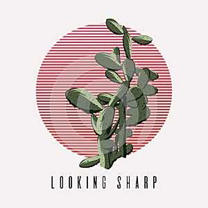 Looking sharp. Vector hand drawn illustration of cactus isolated
