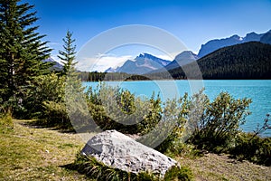 Looking South at Waterfowl Lake, glacier fed lake in the Canadian Rockies - off the Icefield Parkway, Canada