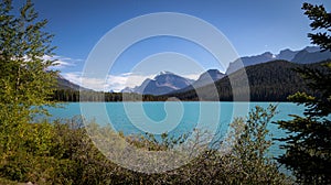 Looking South at Waterfowl Lake, glacier fed lake in the Canadian Rockies - off the Icefield Parkway, Canada photo