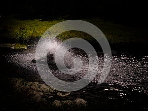 Looking at a spinning waterwheel in a pond