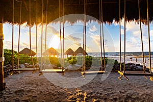 Looking at a sunset over some tropical swings.