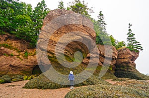 Looking at a tidal rocks at low tide