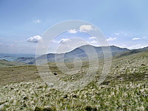 Looking to Coniston Fells from Redtarn Moss