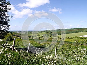Looking to Cow Moor way, Yorkshire England photo
