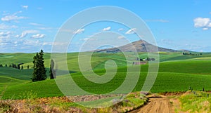 Looking Toward Step Toe Butte