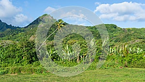 Looking towards the Emerald Mountains in the centre of the tropical Pacific island of Rarotonga