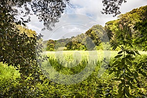 Looking towards an uncultivated countryside