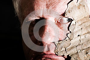 Looking through the tree bark