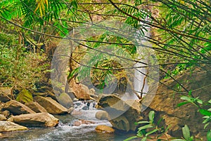 Looking through tree branches at a waterfall