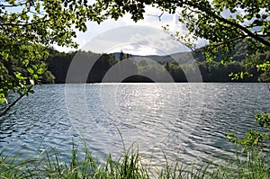 Looking through trees into relaxing lake and mountain view