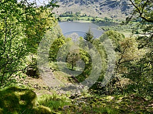 Looking through trees to Ullswater, Lake District