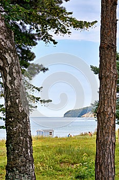 Looking through the trees at the wedding location on the Baltic Sea beach in Binz. Registry office on the island of RÃ¼gen.