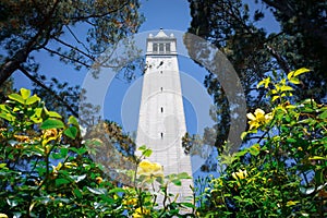 Looking up from the base of Sather tower the Campanile on a blue sky background, UC Berkeley, San Francisco bay, California