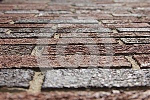 Looking Up at Bricks photo