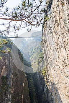 Looking up at the Cable bridge