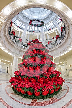 Looking up into the Capital atrium with a pyramid of poinsettia