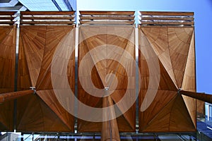 Looking up ceiling of dendriform canopy structure of Auckland Art Gallery Toi o TÄmaki, New Zealand