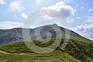 Looking up Cofa Pike by Fairfield