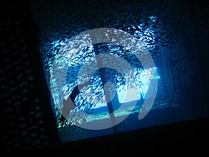 Looking up in the Giannis D wreck