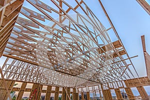 Looking up at new roof wood beams