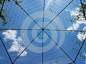 Looking up through a plant covered walkway to the blue sky