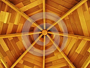 Looking up into the roof of an octagonal wooden shed
