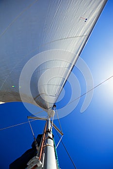 Looking up at sails and mast of yachting